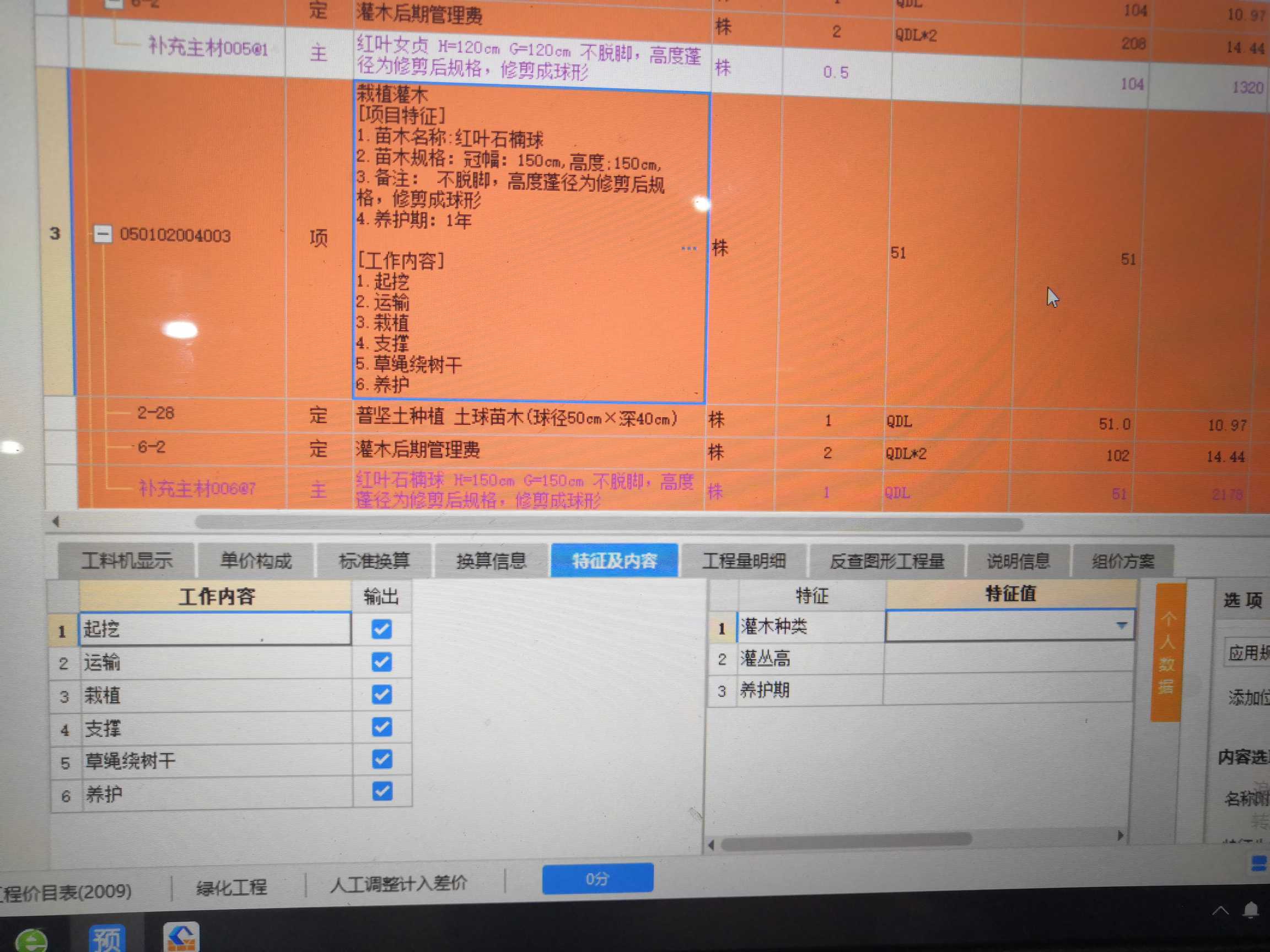 項目特征