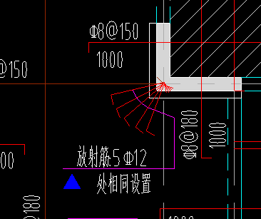 放射筋