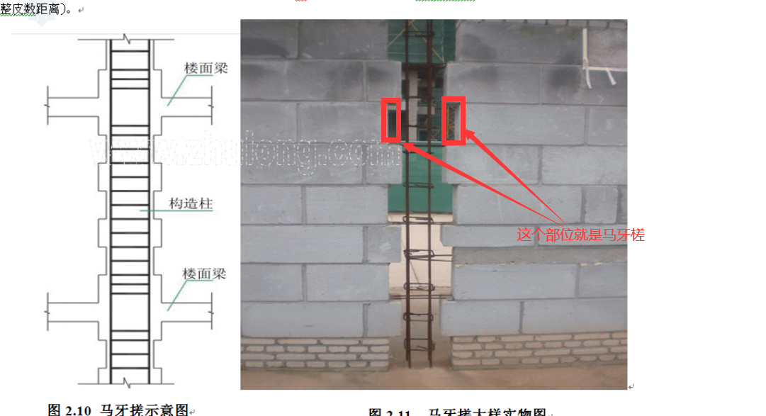 马牙槎是什么