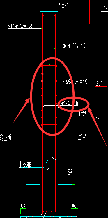分布筋