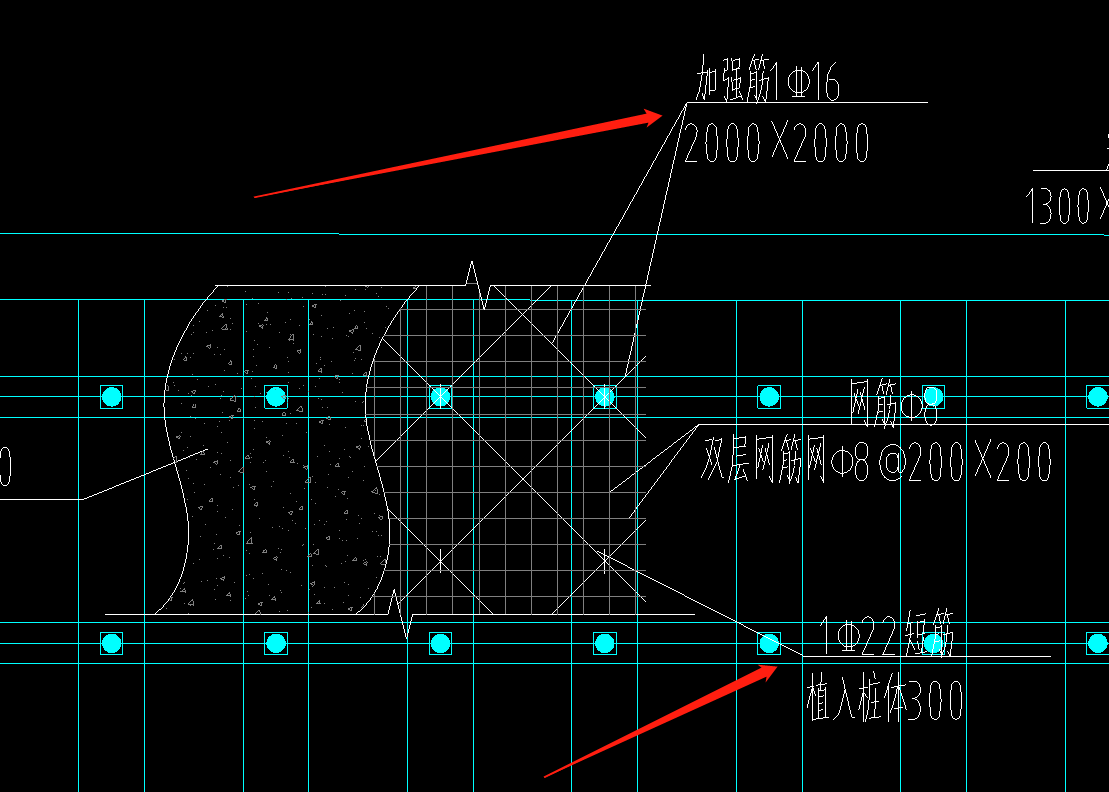 短筋