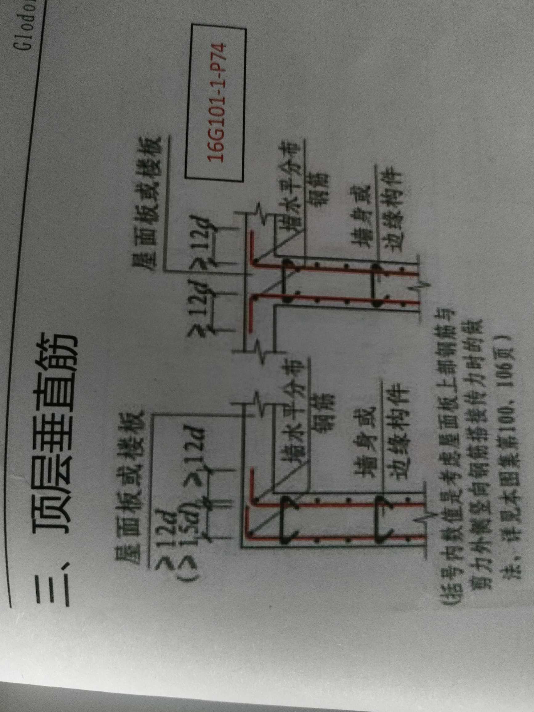 直筋