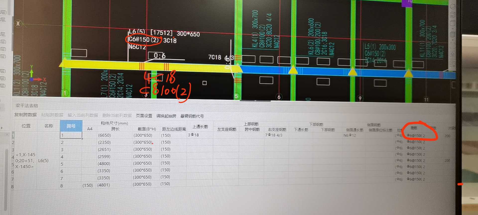 原位标注