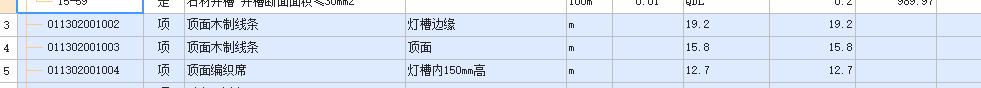 项目特征