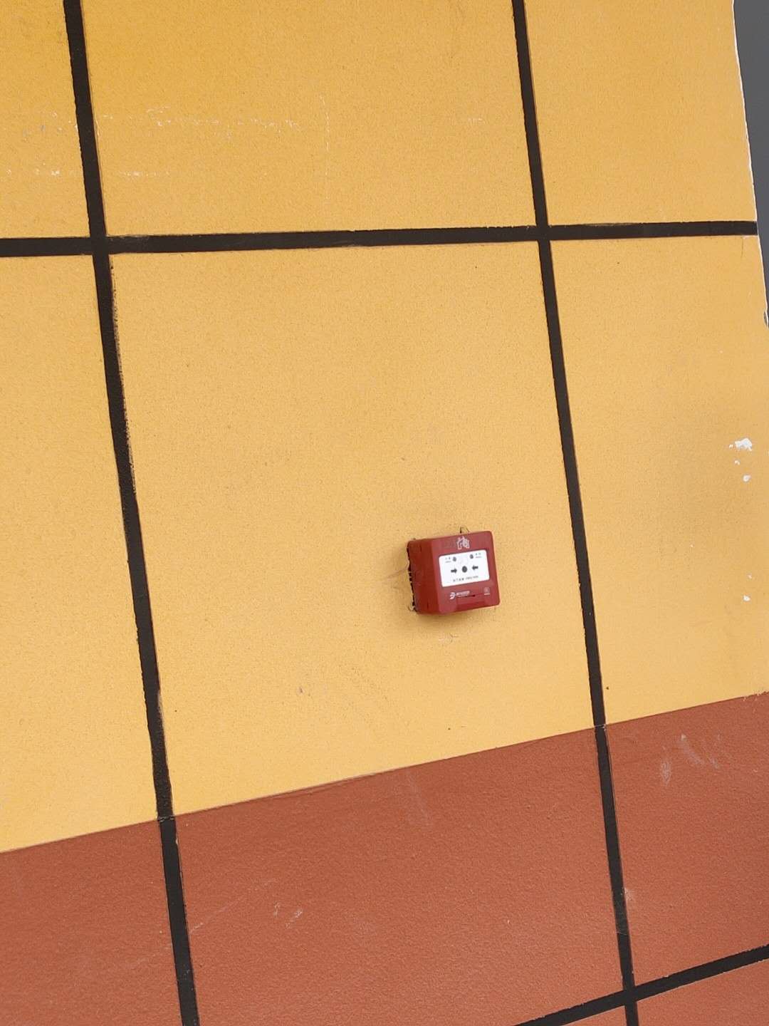 主材含量