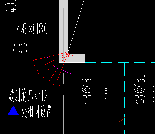 放射筋