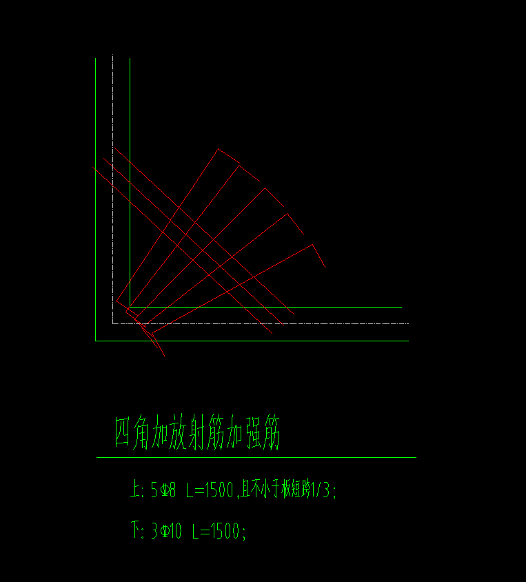 放射筋