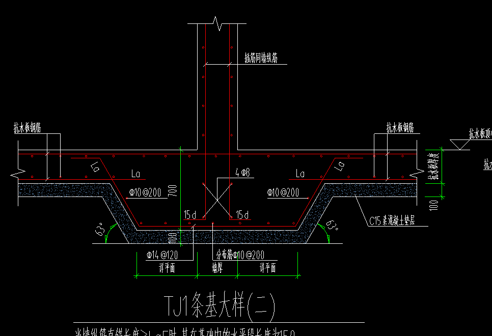 条基