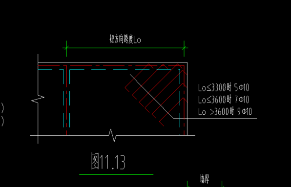 放射筋