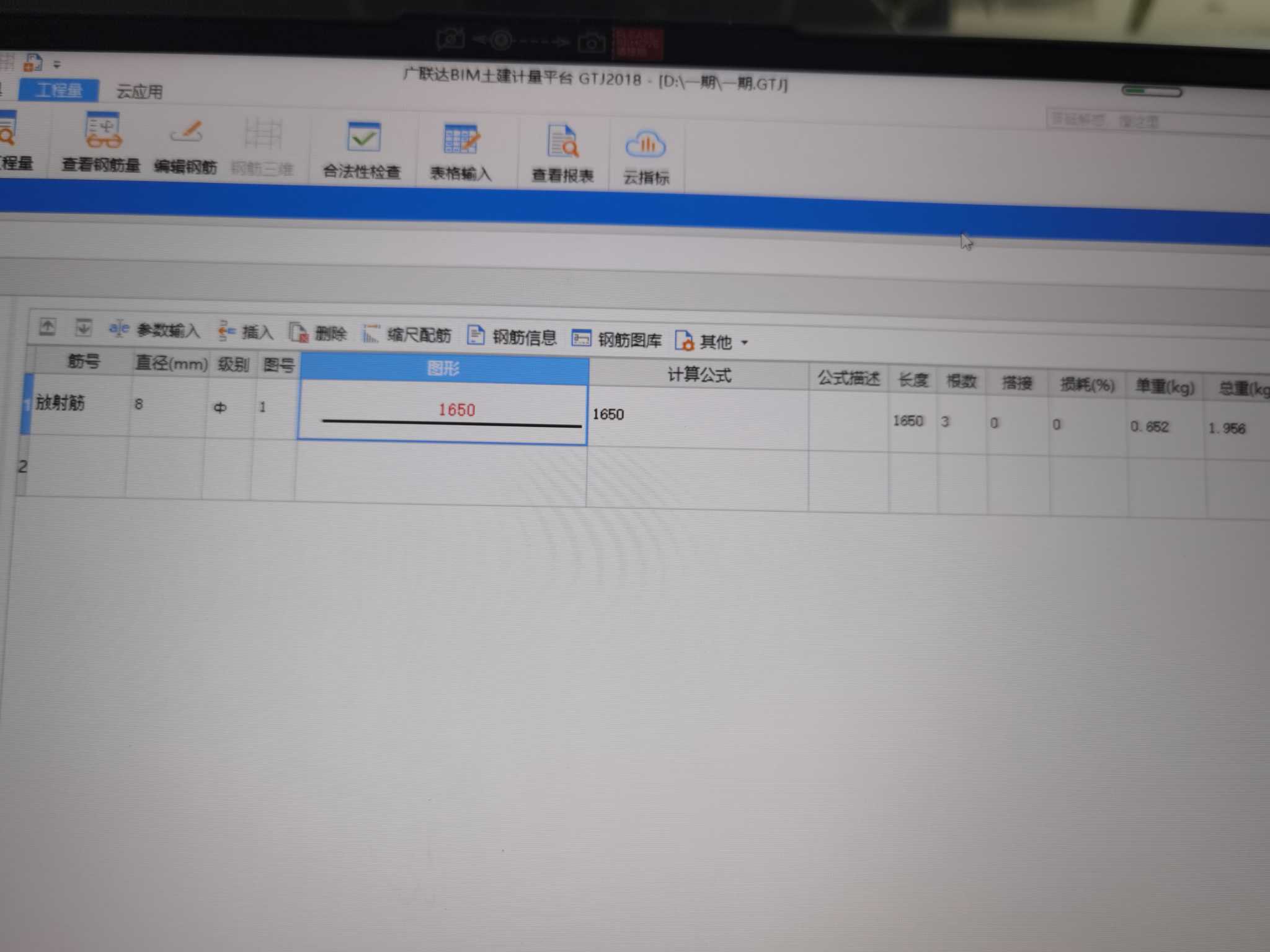 放射筋