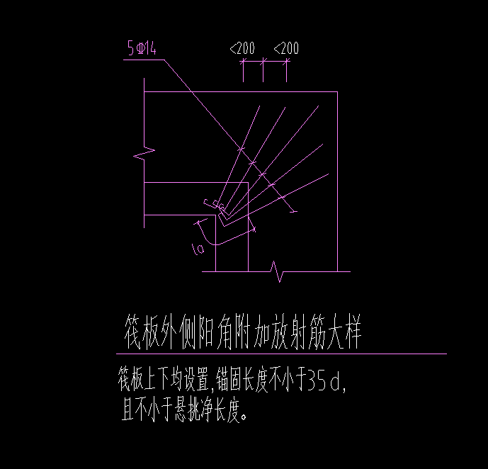 放射筋