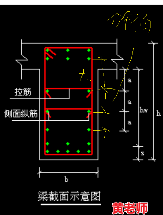 腹板怎么画图片