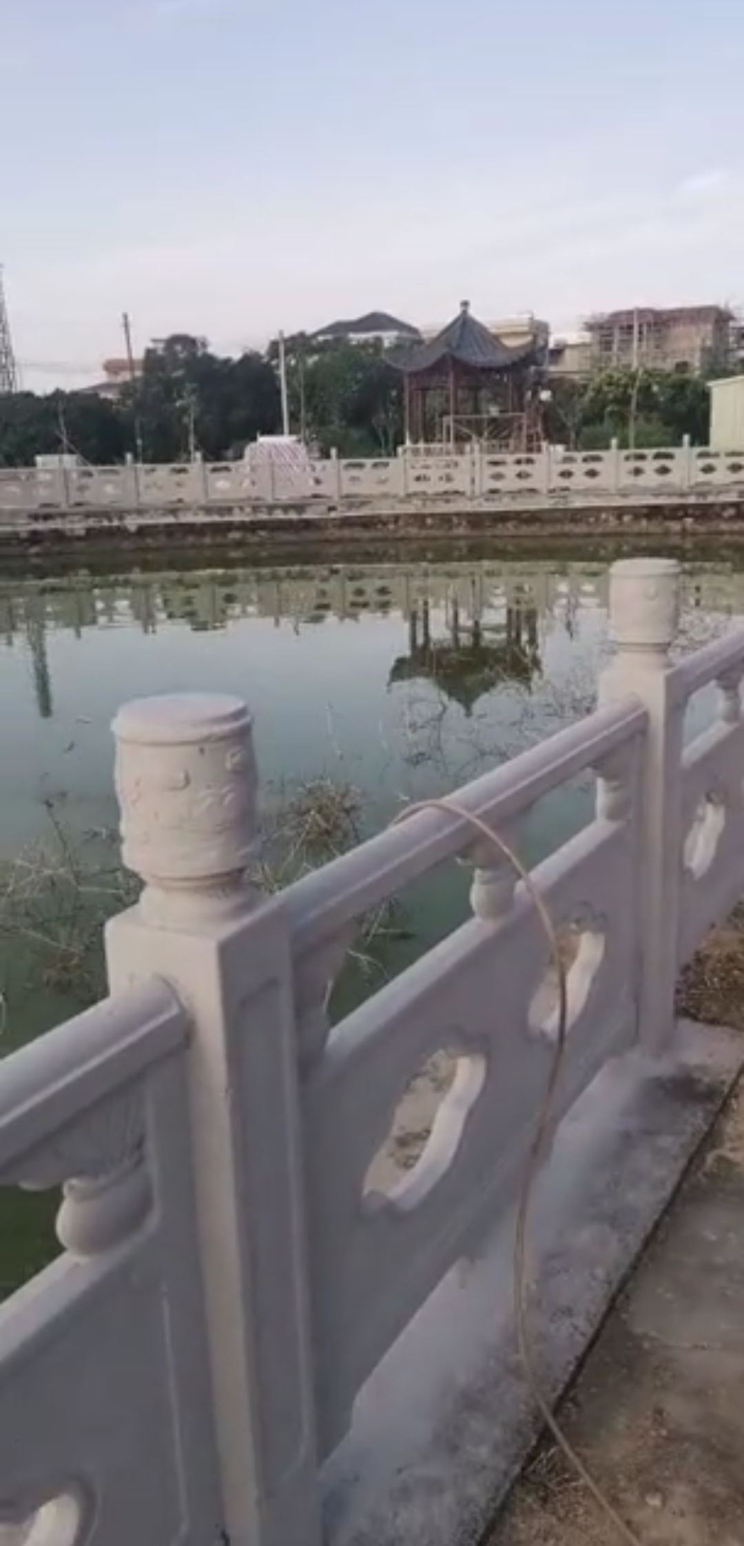 定額