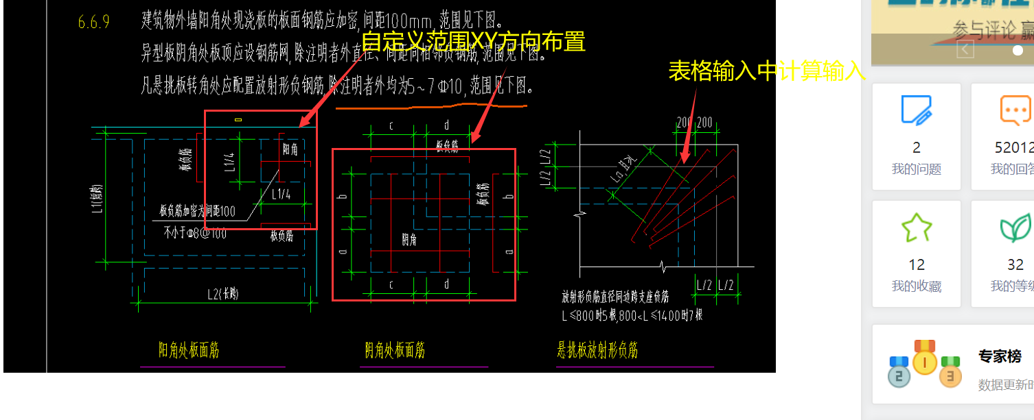 放射筋