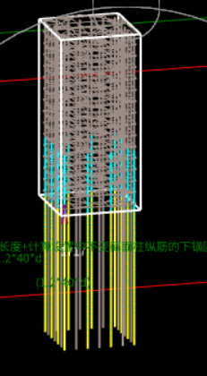 分布筋