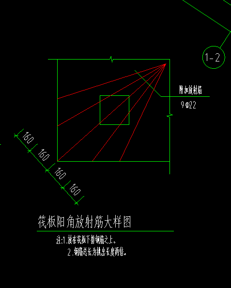 放射筋