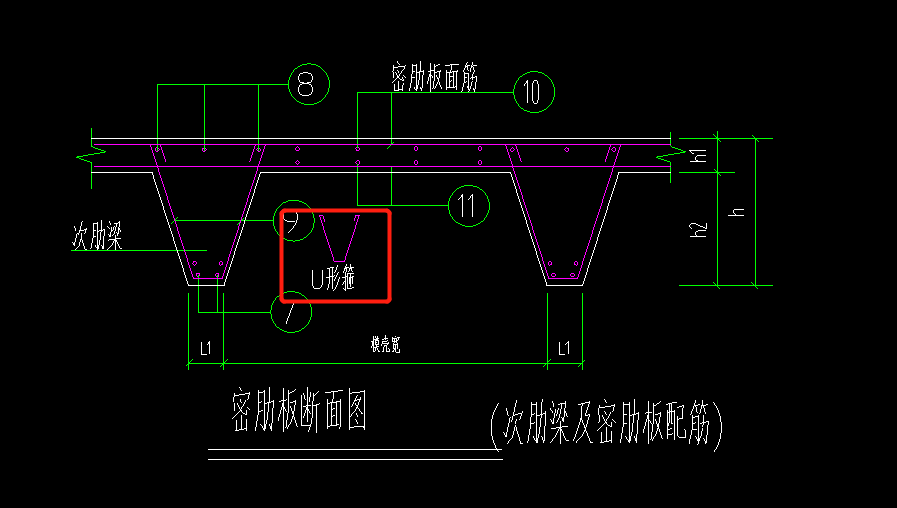 梁肋
