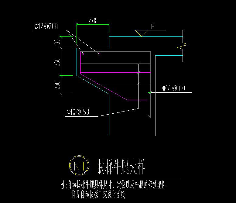 梁上