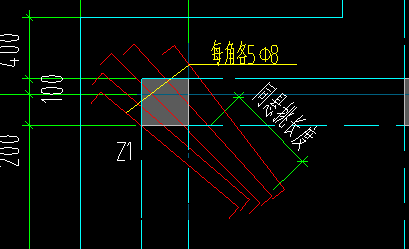 放射筋