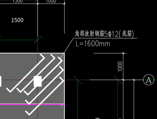 放射筋