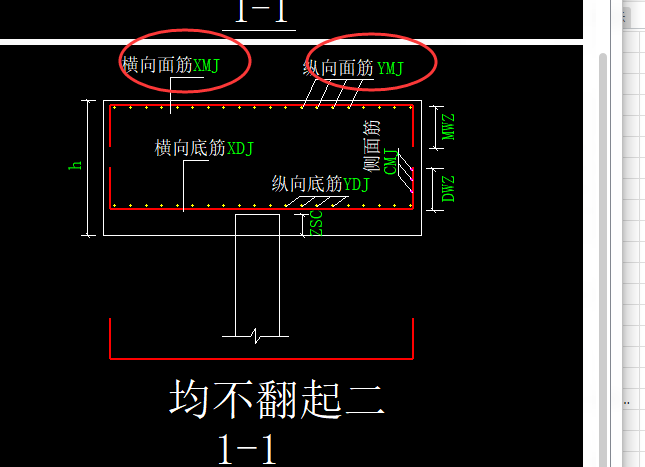 這個承臺梁用板式配筋的話分佈筋輸在哪裡這個底部12c25是平分x向和y