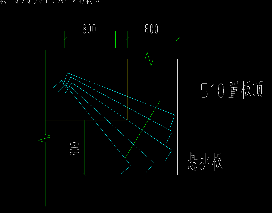 放射筋