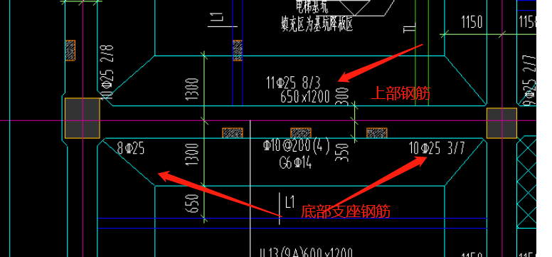 筋位