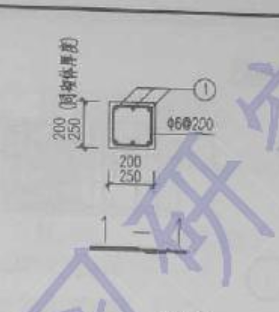 柱截面
