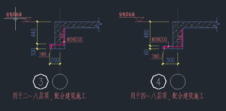 梁上