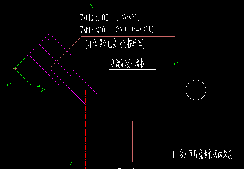 放射筋