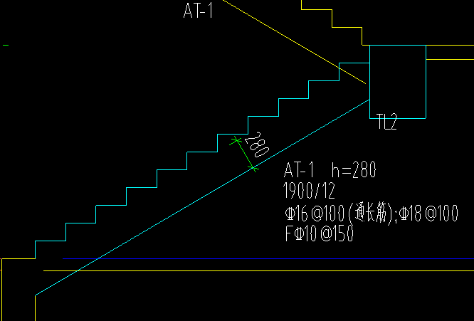 分布筋