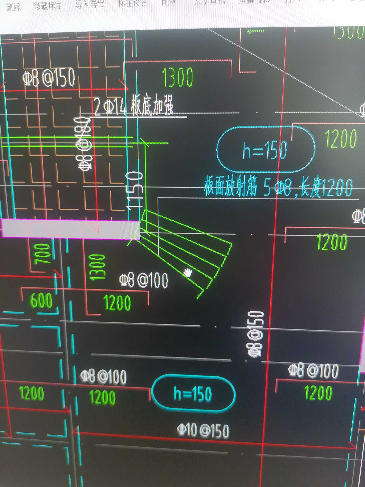 放射筋