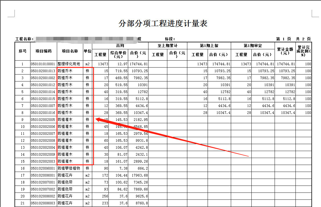 项目特征