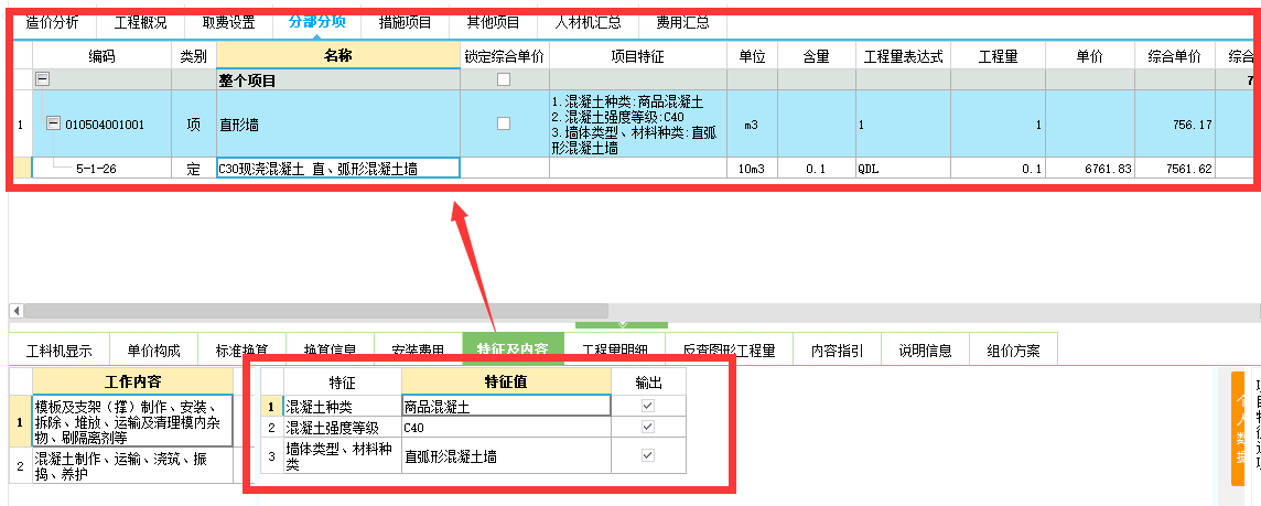 项目特征