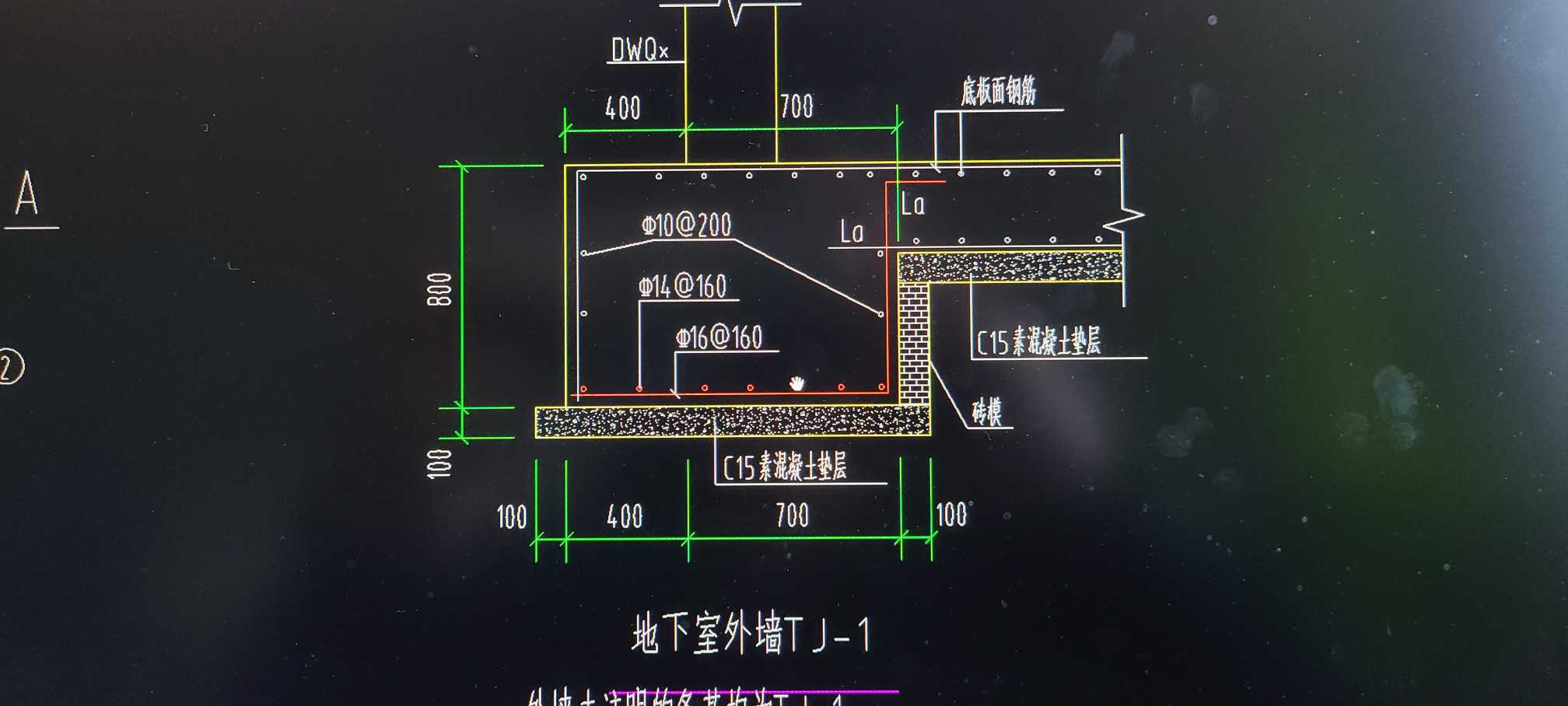 条基