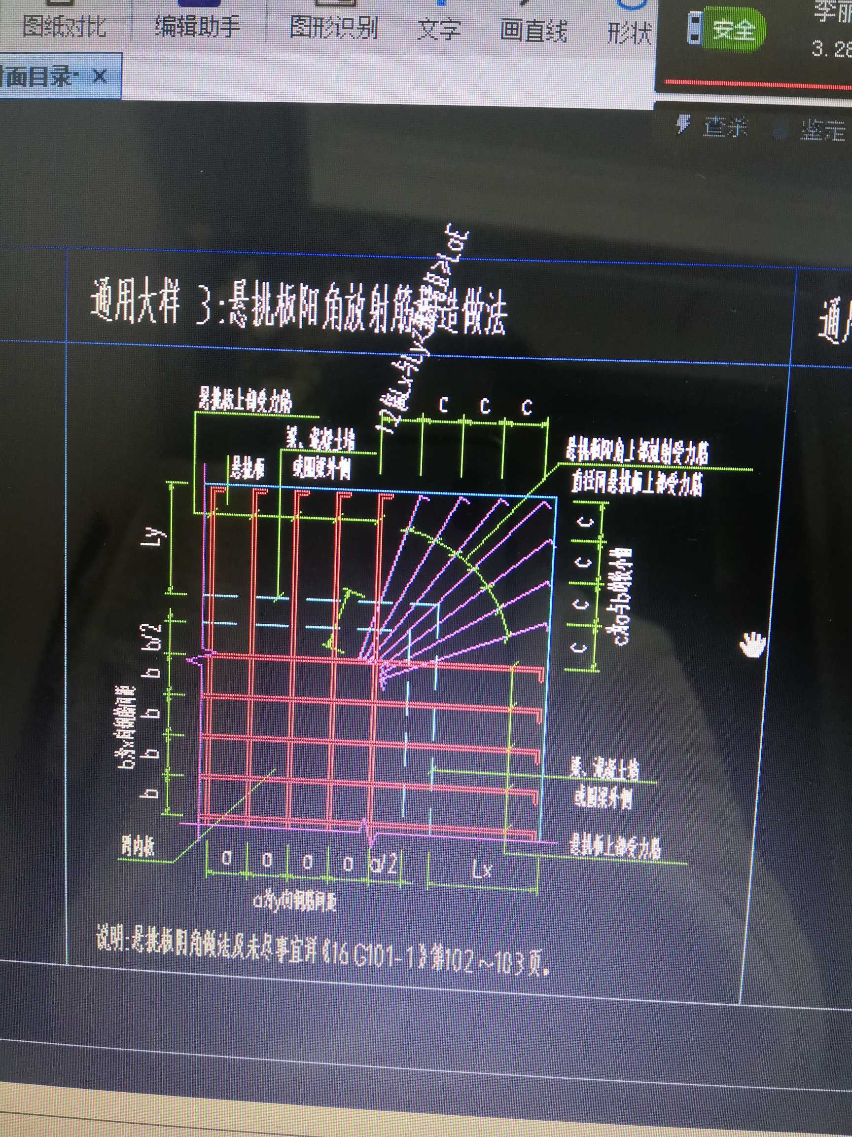 放射筋