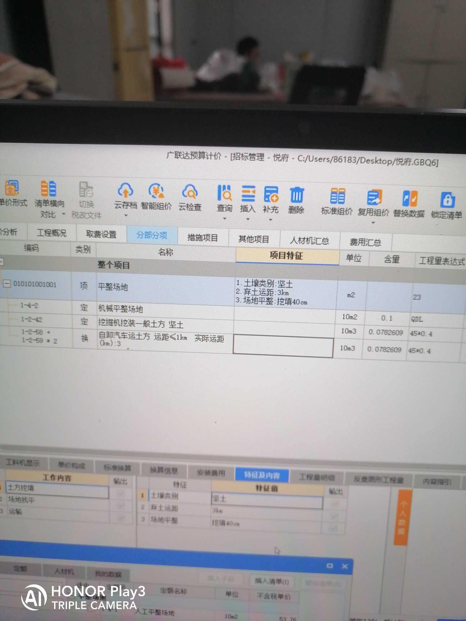 项目特征