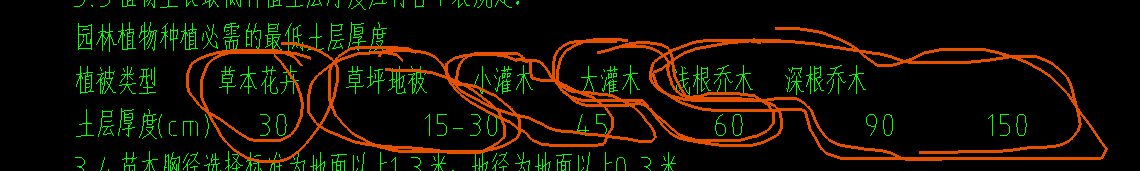 乔木