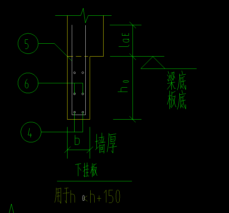 分布筋