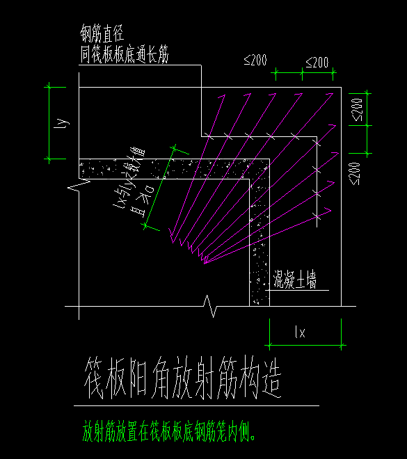 放射筋