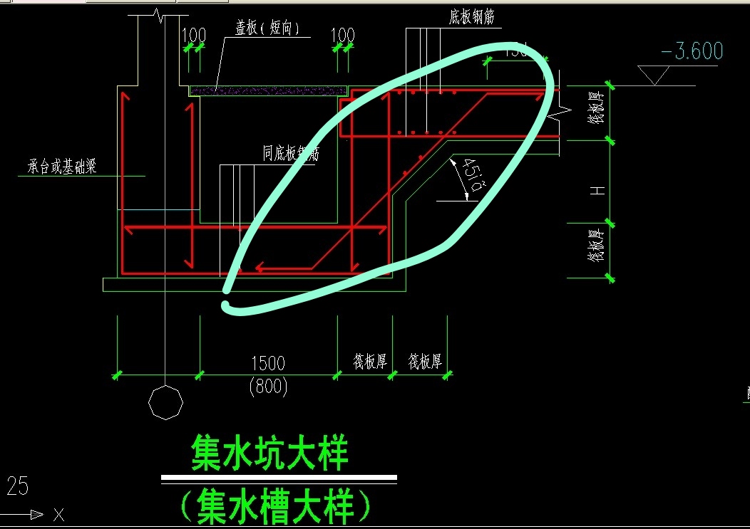 斜筋