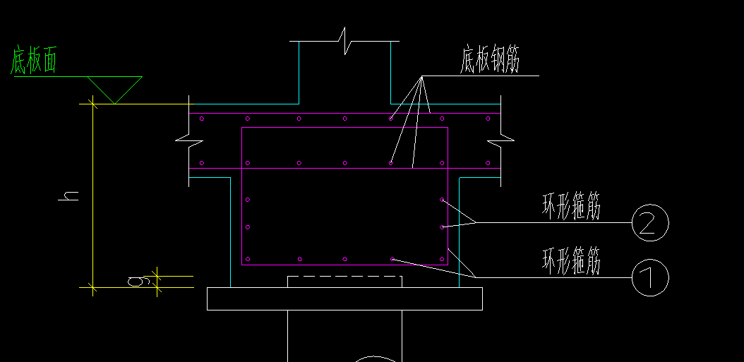 面筋