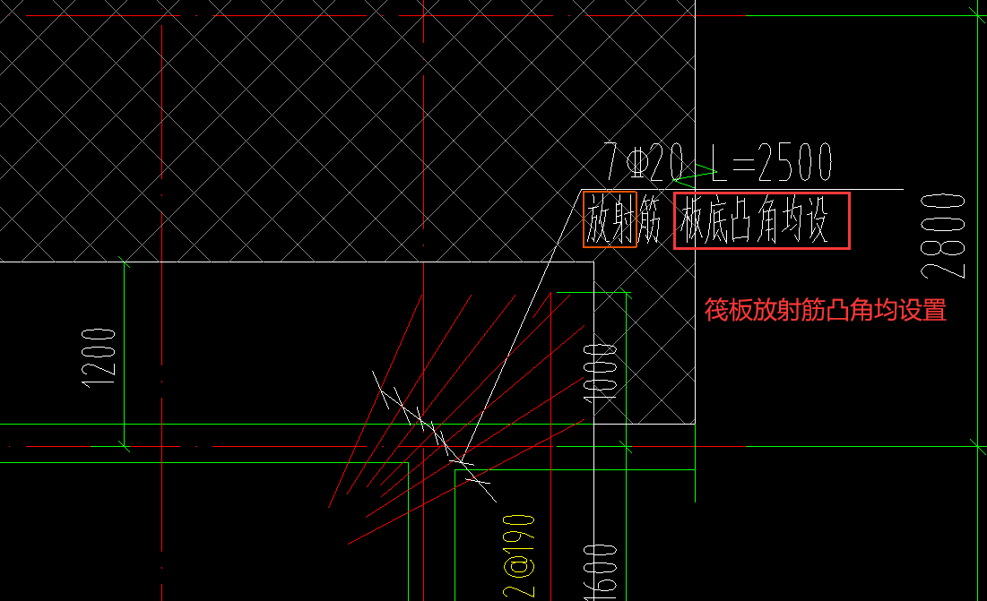 放射筋