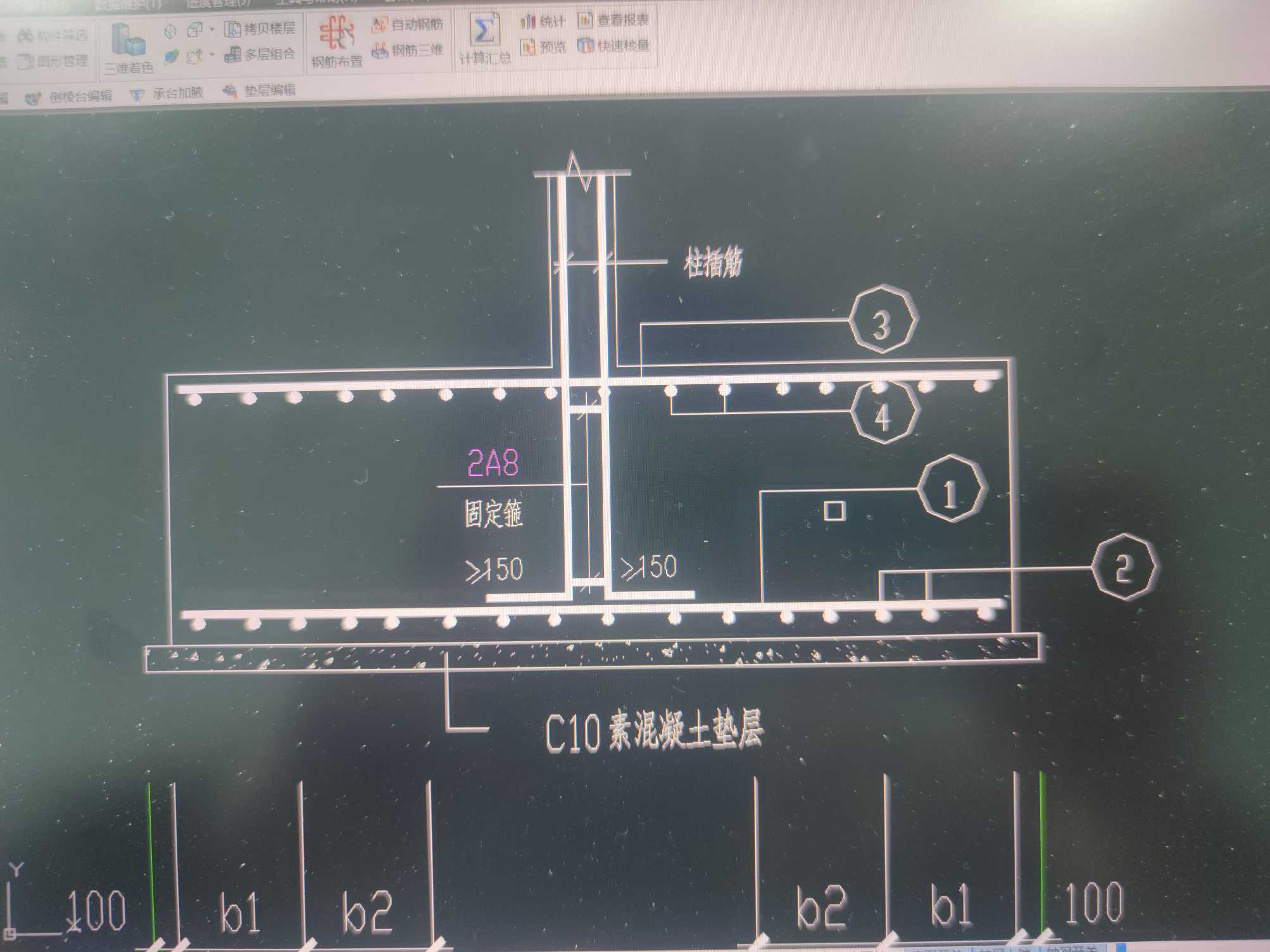 分布筋