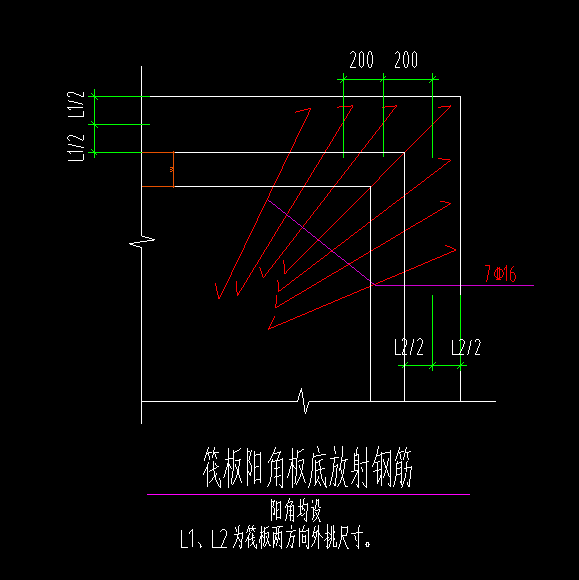 放射筋