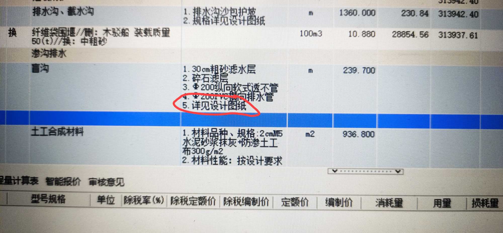 项目特征