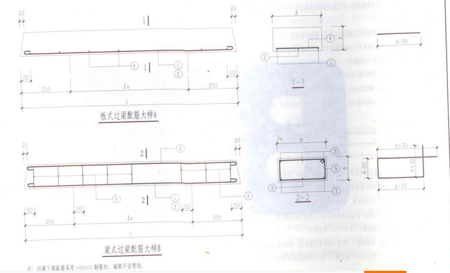 分布筋