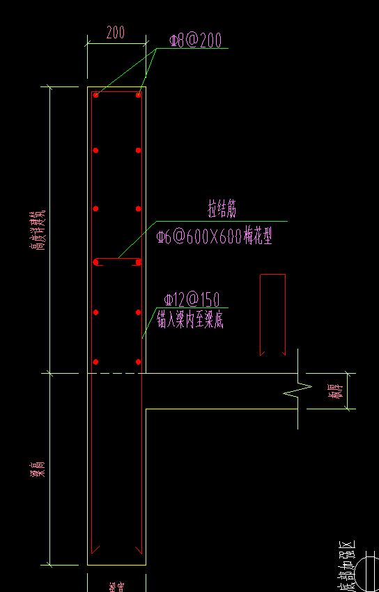 直筋