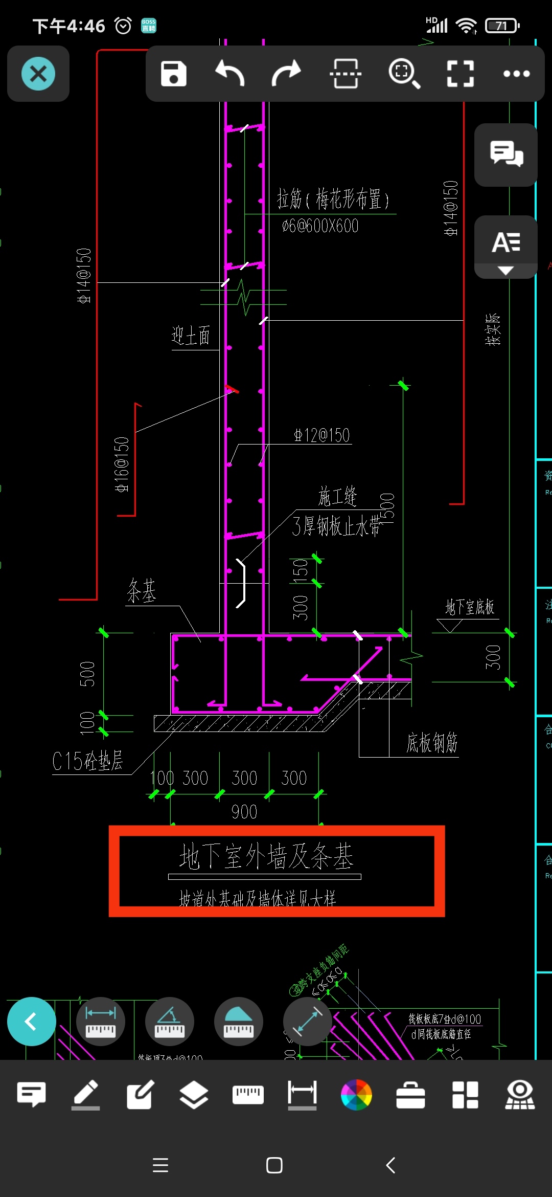 條基