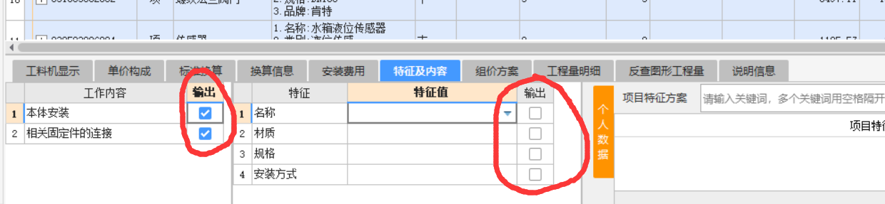 项目特征